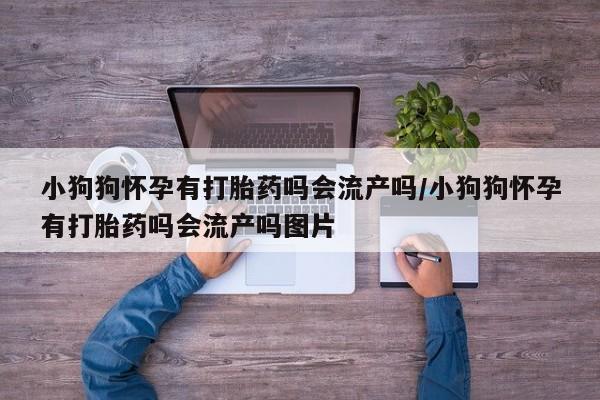 米非司酮片在线购买微信小狗狗怀孕有打胎药吗会流产吗/小狗狗怀孕有打胎药吗会流产吗图片