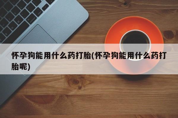 米非司酮片在线购买微信怀孕狗能用什么药打胎(怀孕狗能用什么药打胎呢)